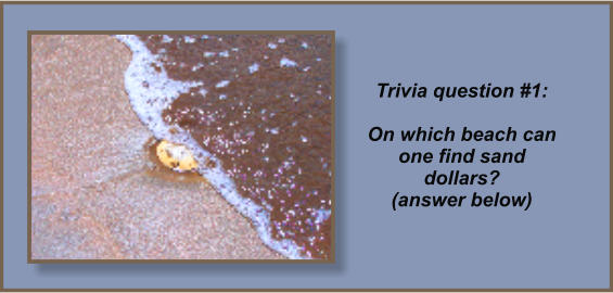 Trivia question #1:On which beach can one find sand dollars?(answer below)